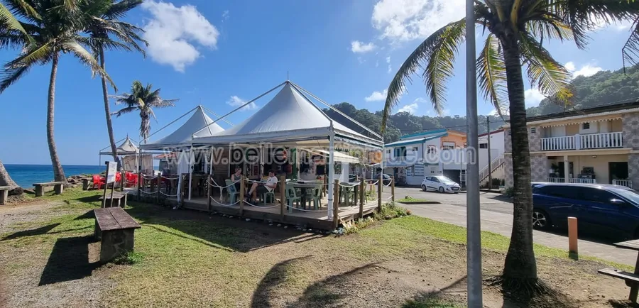 Explore Local Cuisine