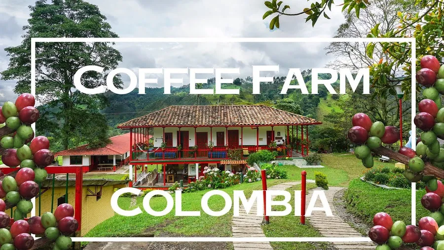 Finca Cafetera (Coffee Farm)
