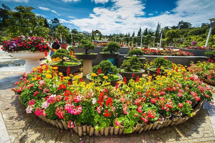 Flower Garden