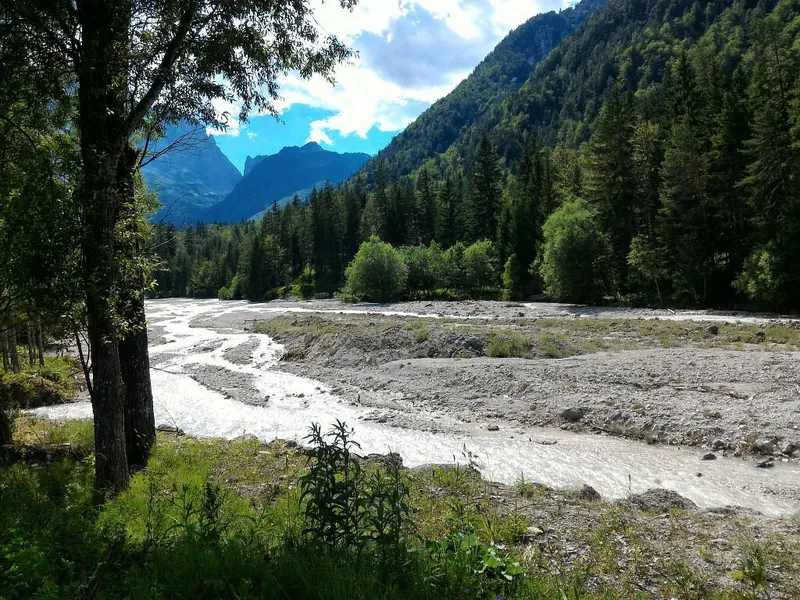 Foresta di Tarvisio