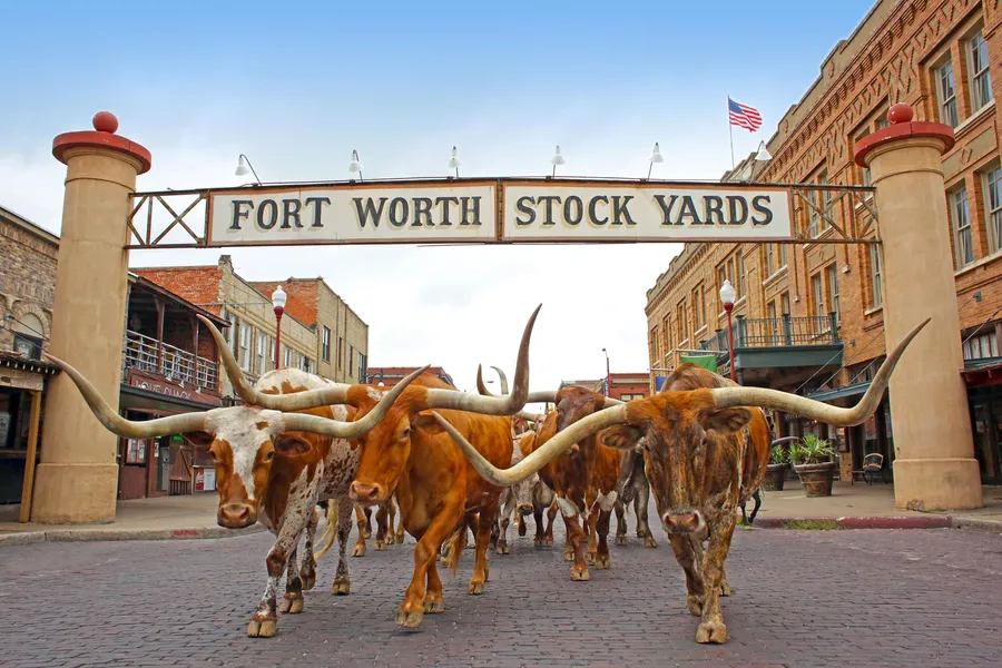 Fort Worth Stockyards National Historic District