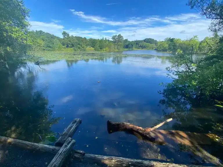 Fresh Pond Reservation