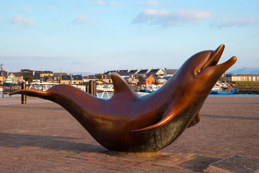 Fungi the Dingle Dolphin