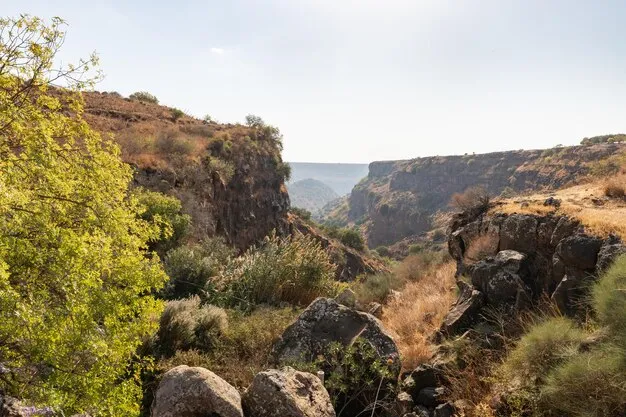 Gamla Nature Reserve