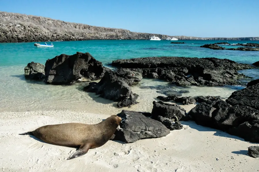 Genovesa Island