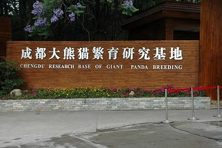 Giant Panda Breeding Research Base