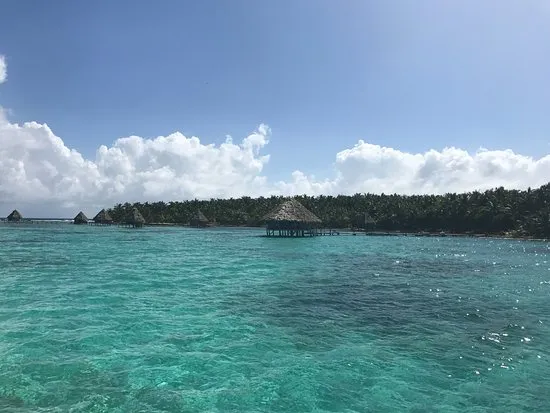 Glover's Reef Marine Reserve