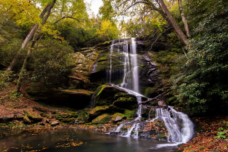 Gorges State Park