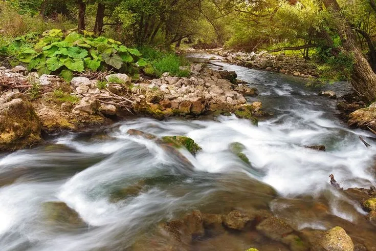 Gradac River Canyon