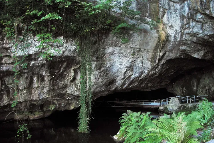 Grottes de Han