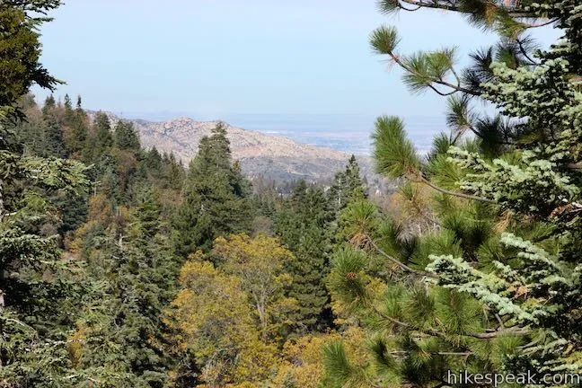 Heaps Peak Arboretum