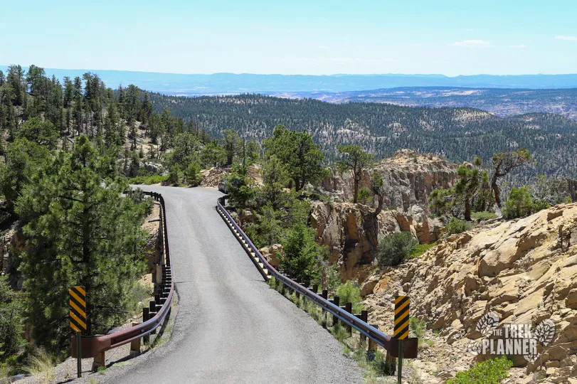 Hell's Backbone Road