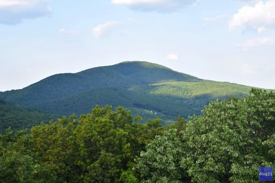 Hiking Trails in the Mecsek Mountains