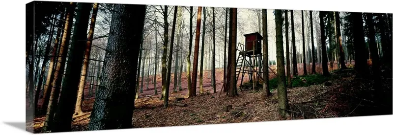 Hochwald Lookout Tower