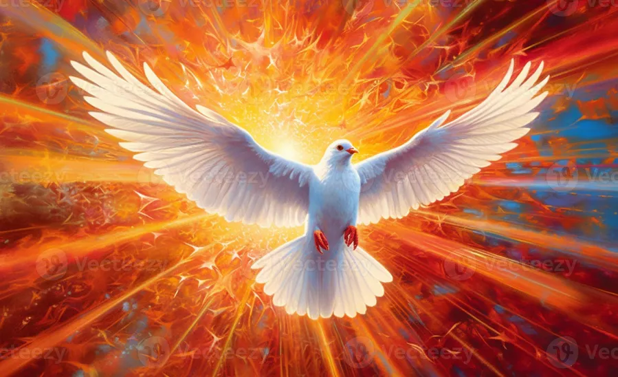 Holy Land USA