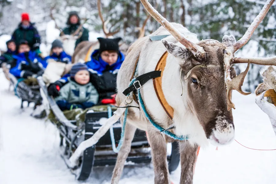 Inari Reindeer Farm