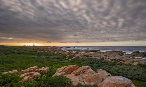 Irma Booysen Floral Reserve