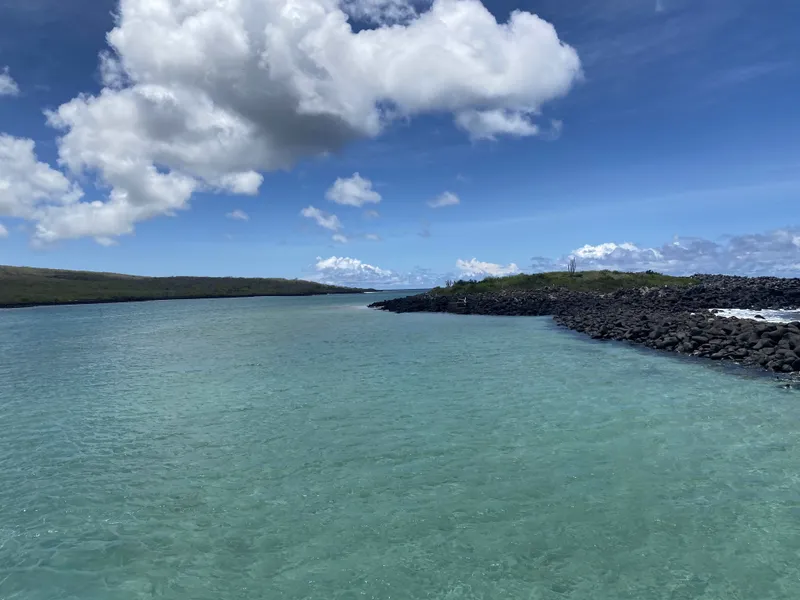 Isla Lobos