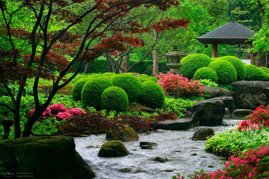 Japanese Garden