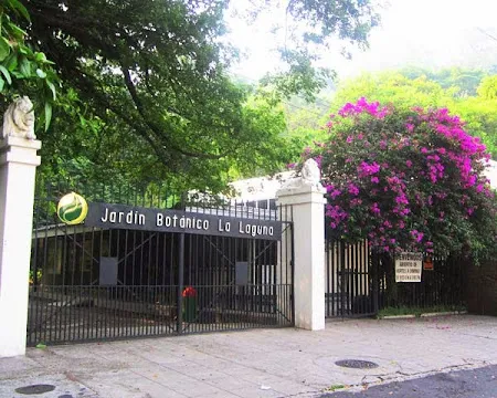 Jardín Botánico La Laguna
