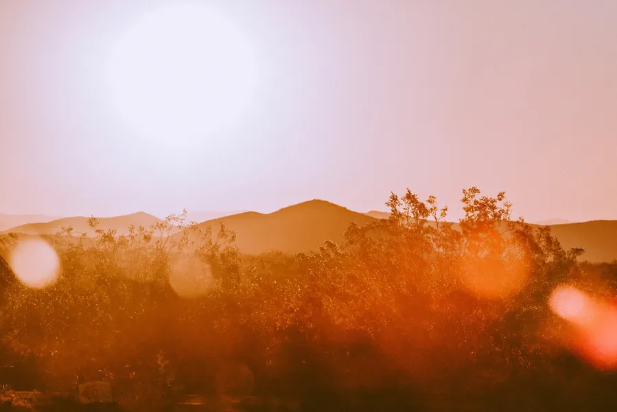 Joshua Tree National Park (nearby)