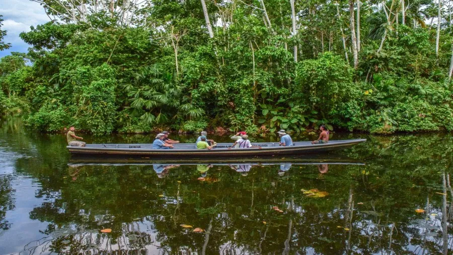 Jungle Tours from Misahuallí