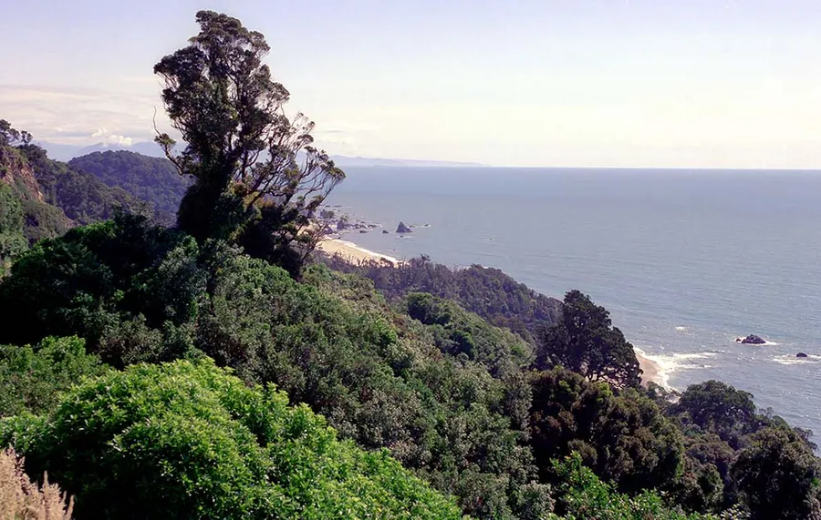 Kahurangi National Park