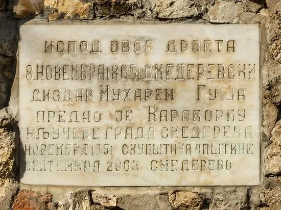 Karađorđev Dud
