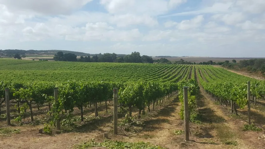 Karatta Wine Room