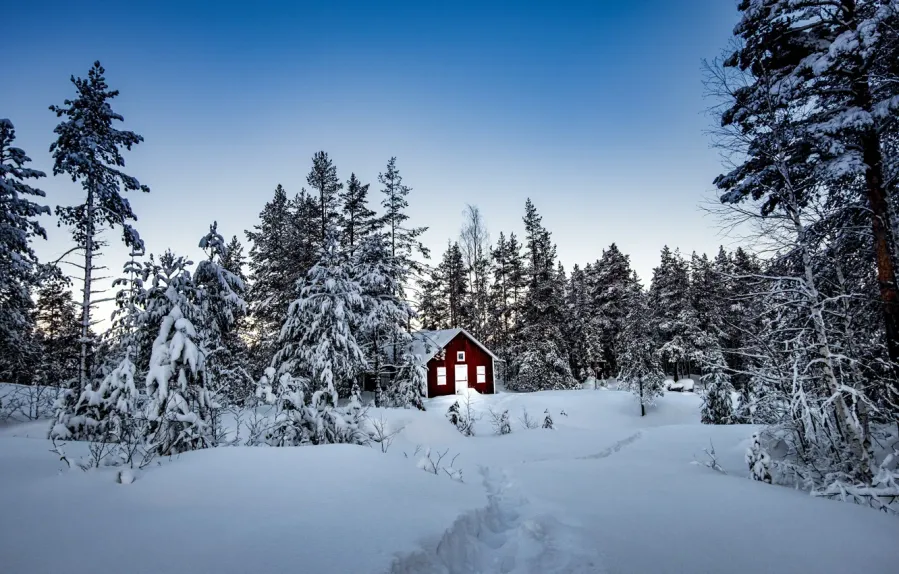 Knockemossen Nature Reserve