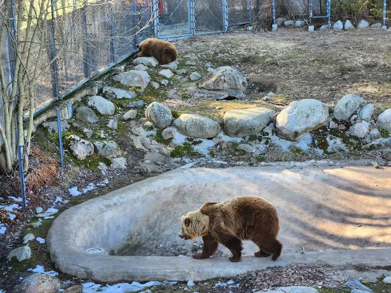 Korkeasaari Zoo