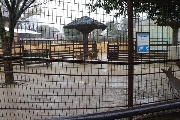Kumamoto City Zoological and Botanical Gardens