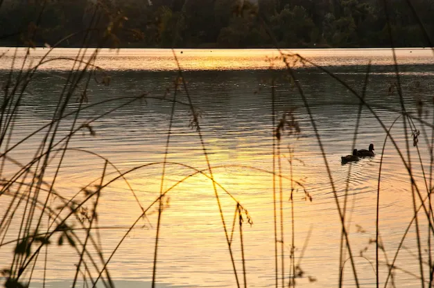 Lake Banyoles