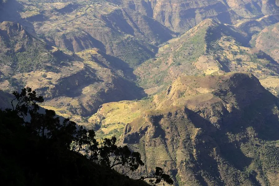 Lammergeier Viewpoint