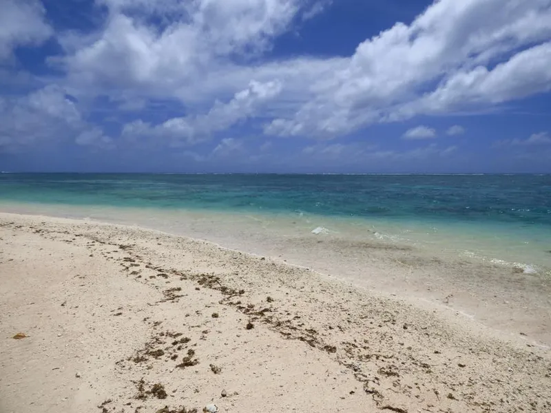 Laura Beach