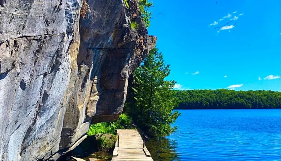 Limberlost Forest and Wildlife Reserve