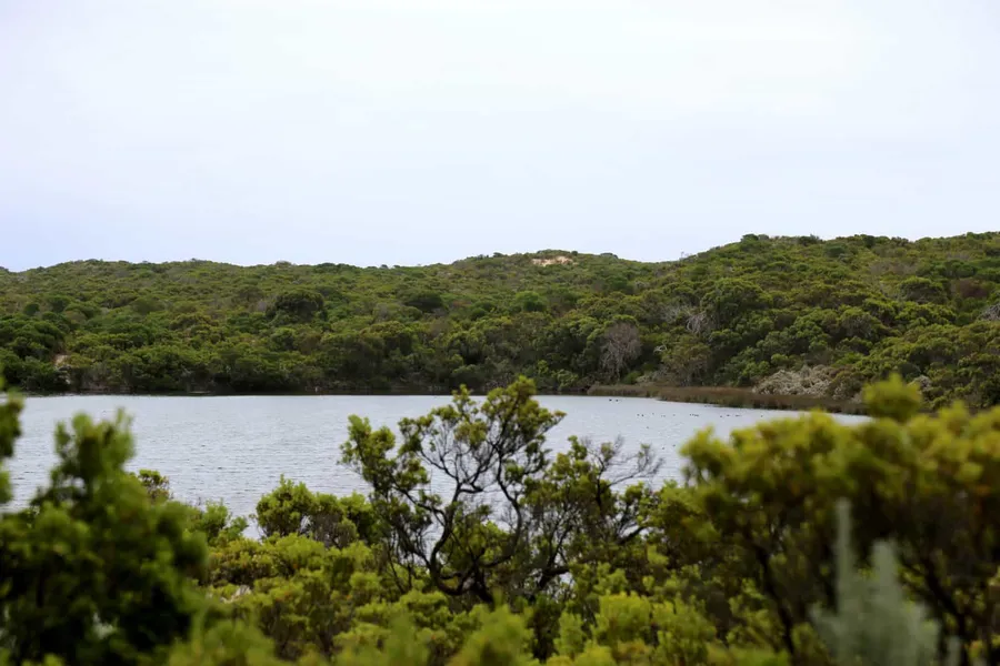 Little Dip Conservation Park