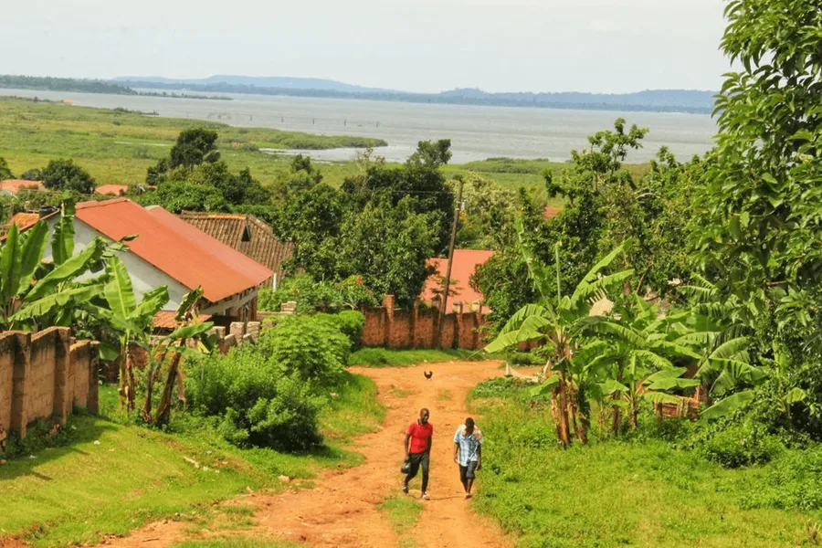 Local Cuisine of Entebbe