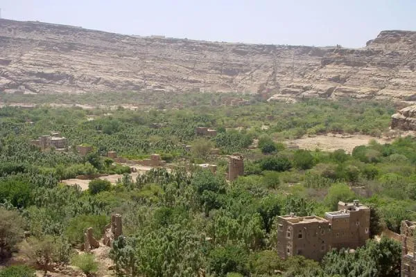 Local Farms and Terraces