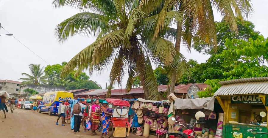 Local Zebu Market
