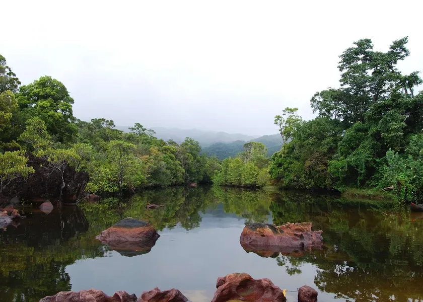 Masoala National Park