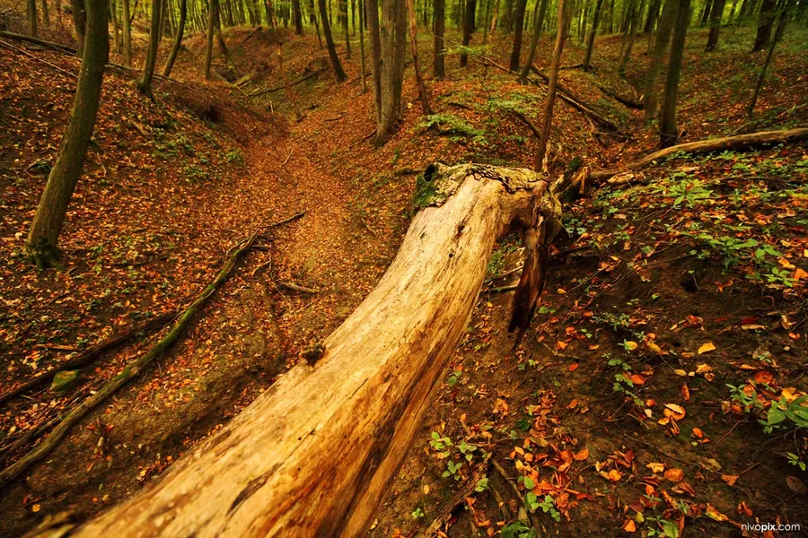 Mecsek Adventure Park