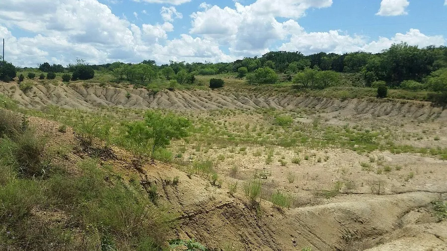 Mineral Wells Fossil Park