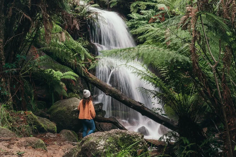 Mount Buangor State Park