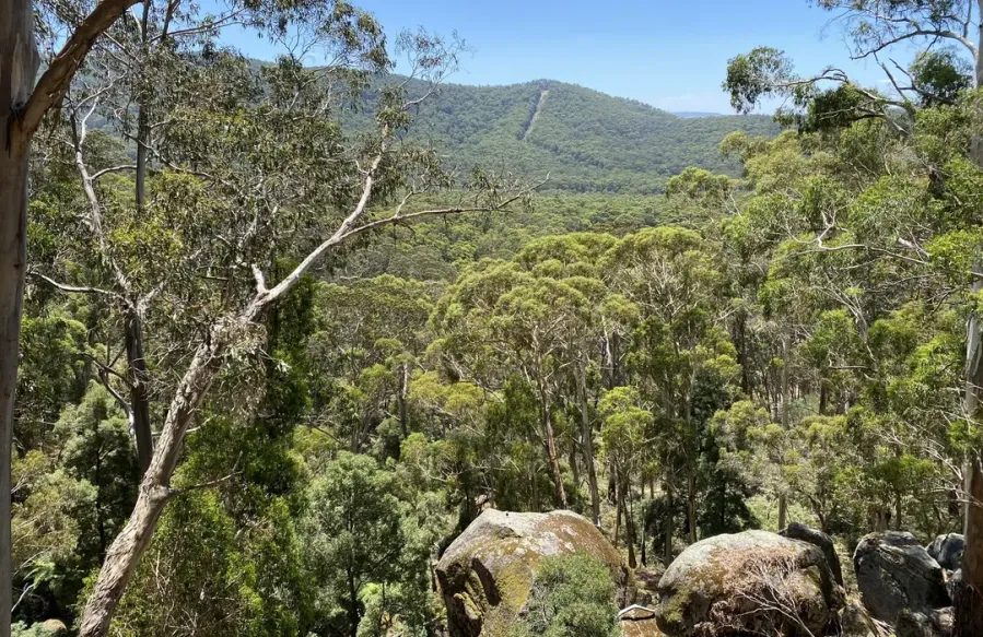 Mount Cole State Forest