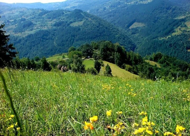 Mount Golija