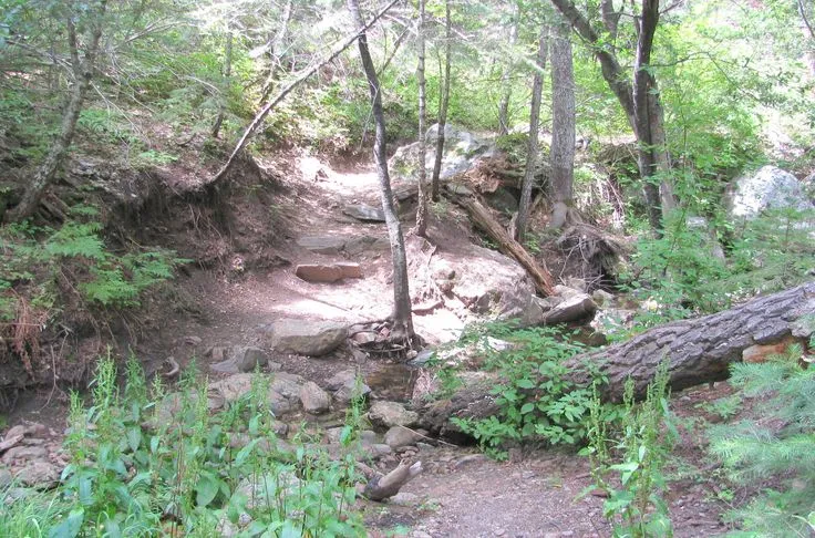 Mount Lemmon
