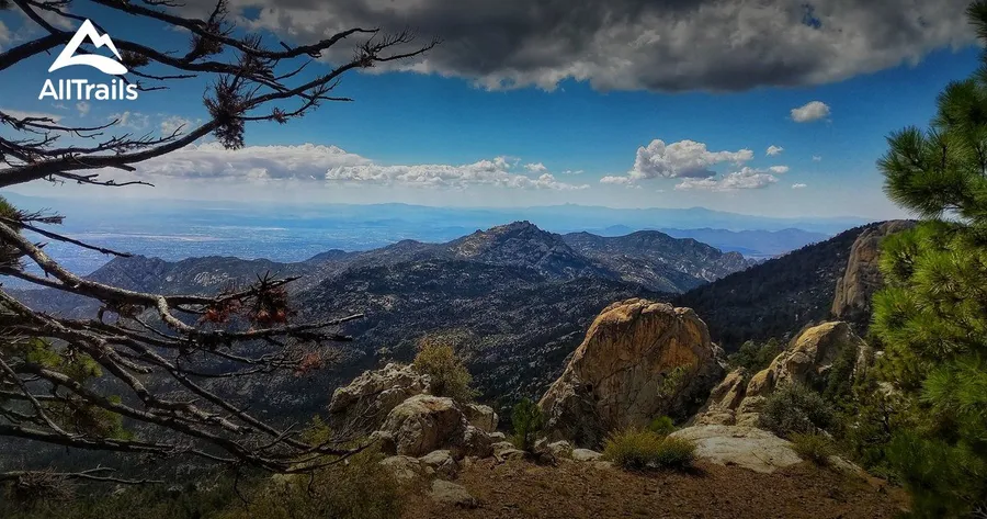 Mount Lemmon Hiking Trails