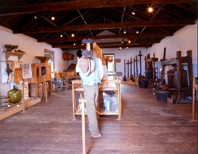 Museu do Vinho dos Biscoitos