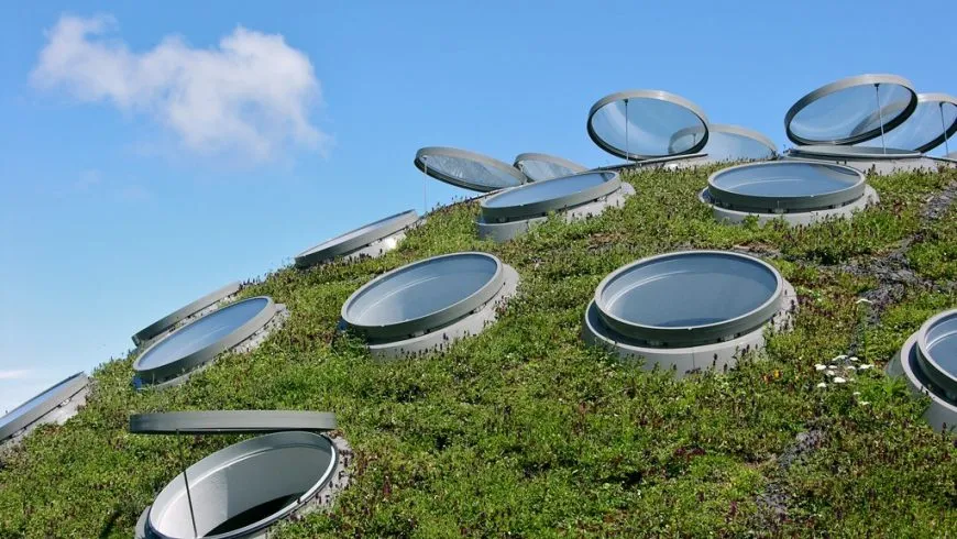Museum of the Olive and Greek Olive Oil